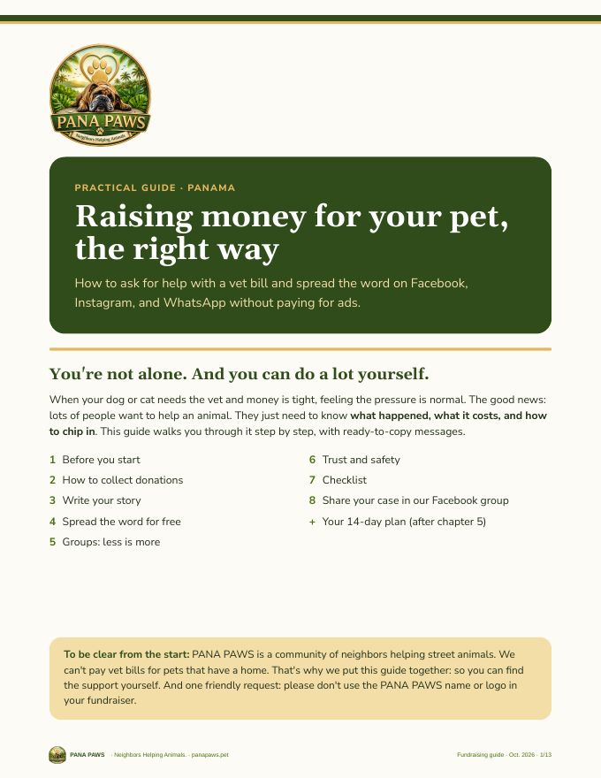Cover of the fundraising guide (English)