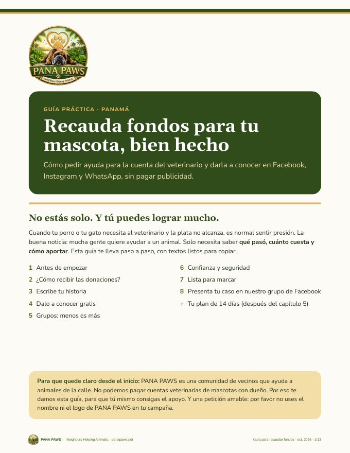 Portada de la guía para recaudar fondos (español)