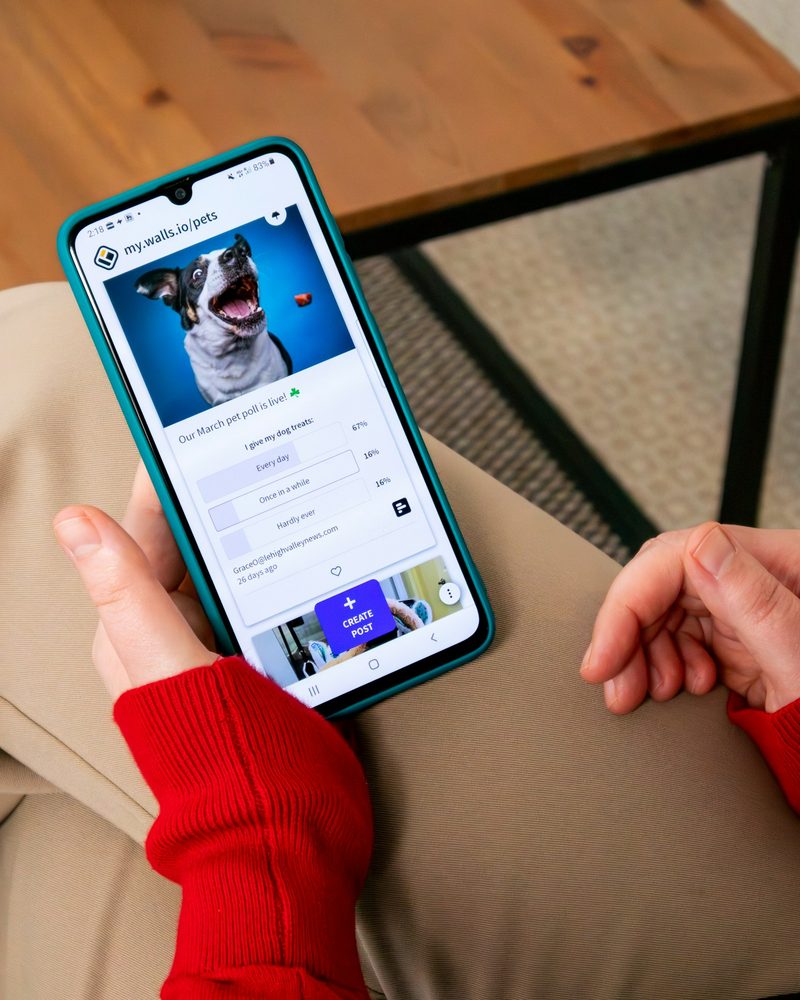 Sharing a pet's story on a phone